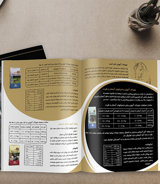 کاتالوگ شرکت تکنوژن